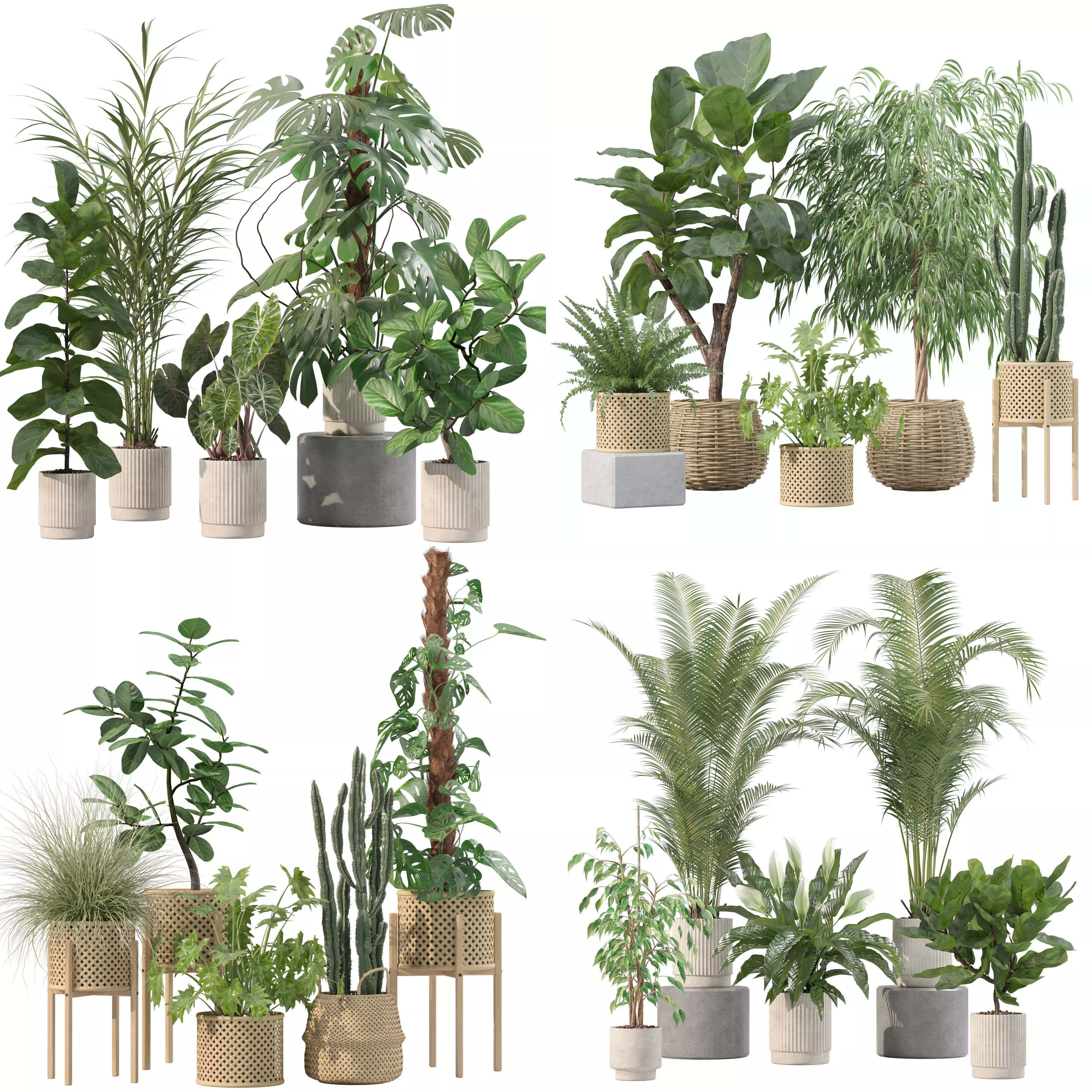20 Photorealistic Flowers for Interiors - set 202 203 213 219 3D Model Collection_0