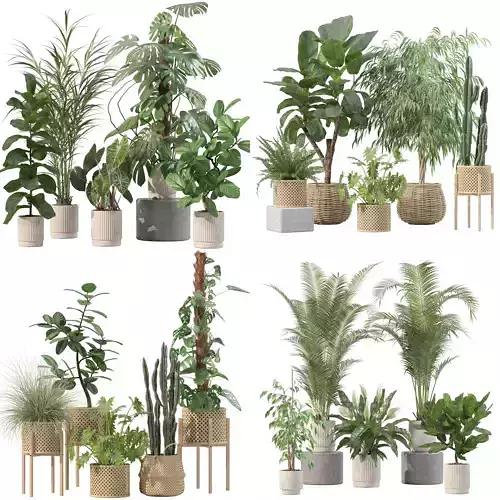 20 Photorealistic Flowers for Interiors - set 202 203 213 219 3D Model Collection