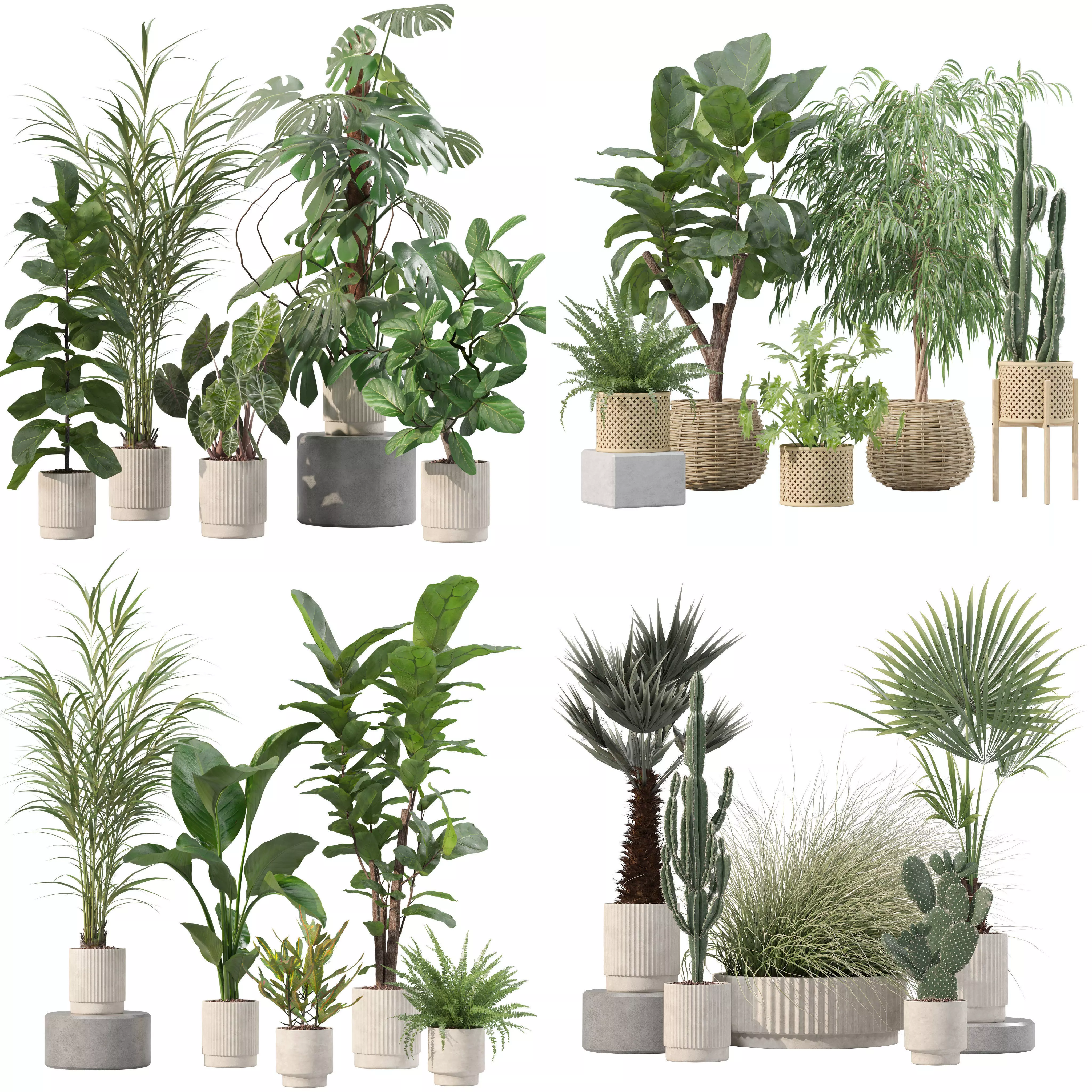 20 Photorealistic Flowers for Interiors - set 202 204 216 219 3D Model Collection_0