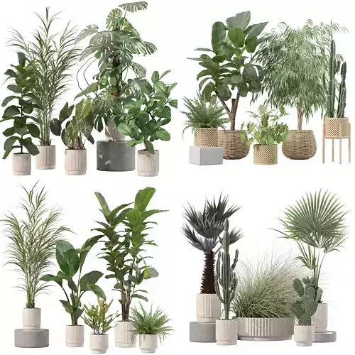 20 Photorealistic Flowers for Interiors - set 202 204 216 219 3D Model Collection