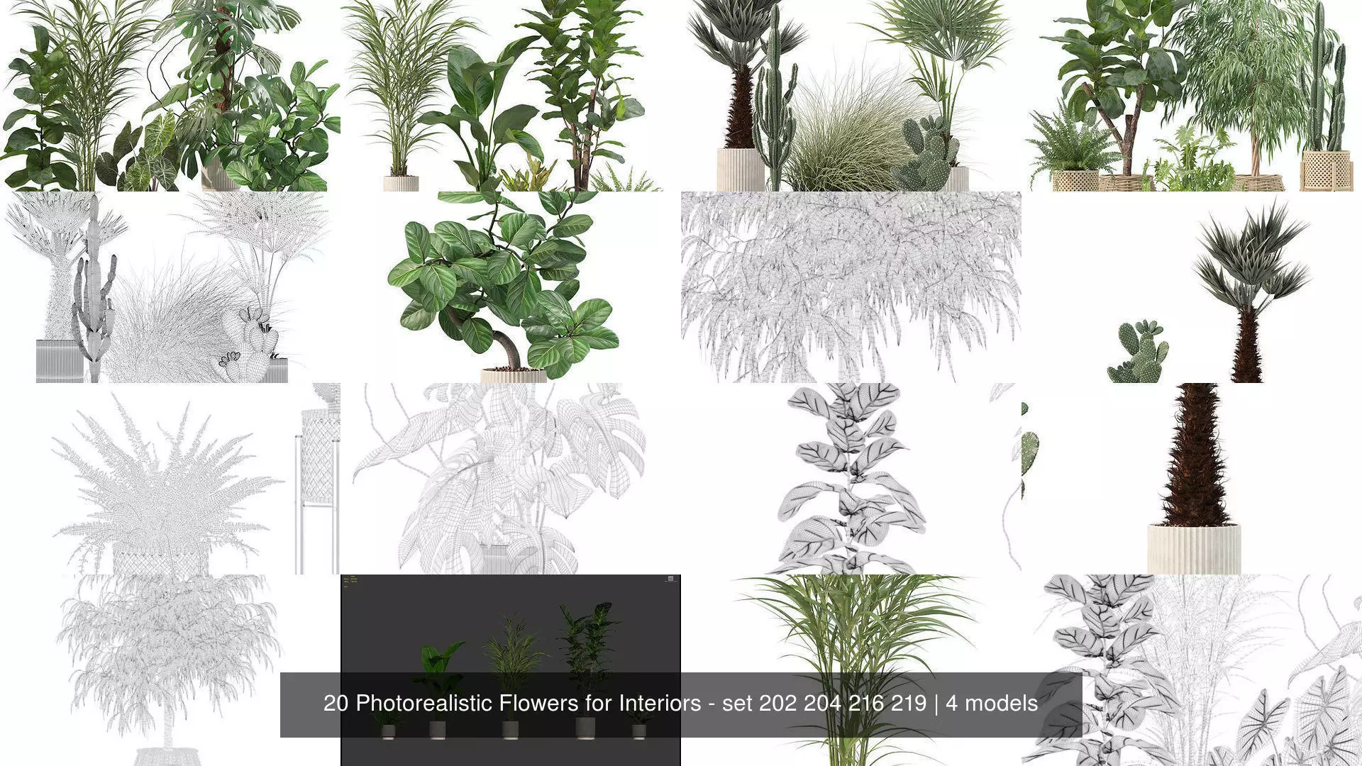 20 Photorealistic Flowers for Interiors - set 202 204 216 219 3D Model Collection_1