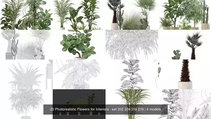 20 Photorealistic Flowers for Interiors - set 202 204 216 219