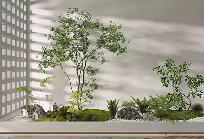 Indoor plant landscape