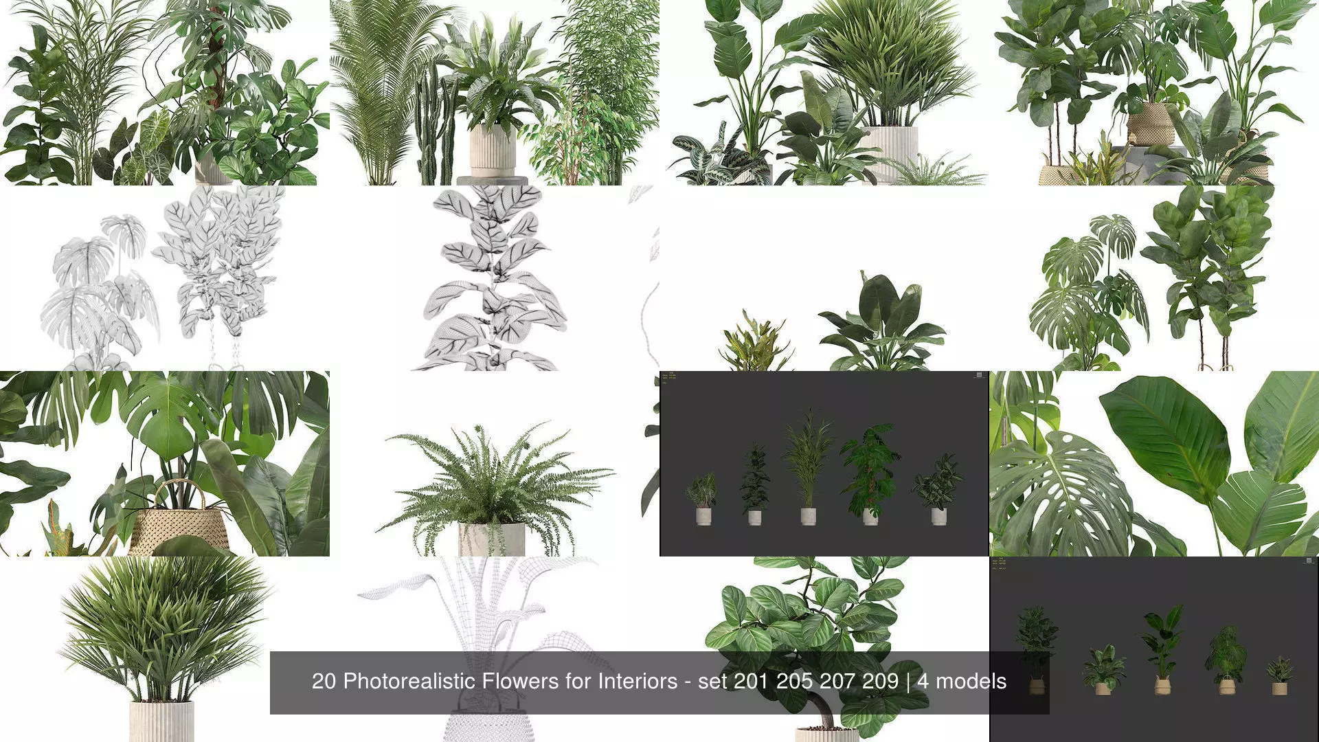 20 Photorealistic Flowers for Interiors - set 201 205 207 209 3D Model Collection_1