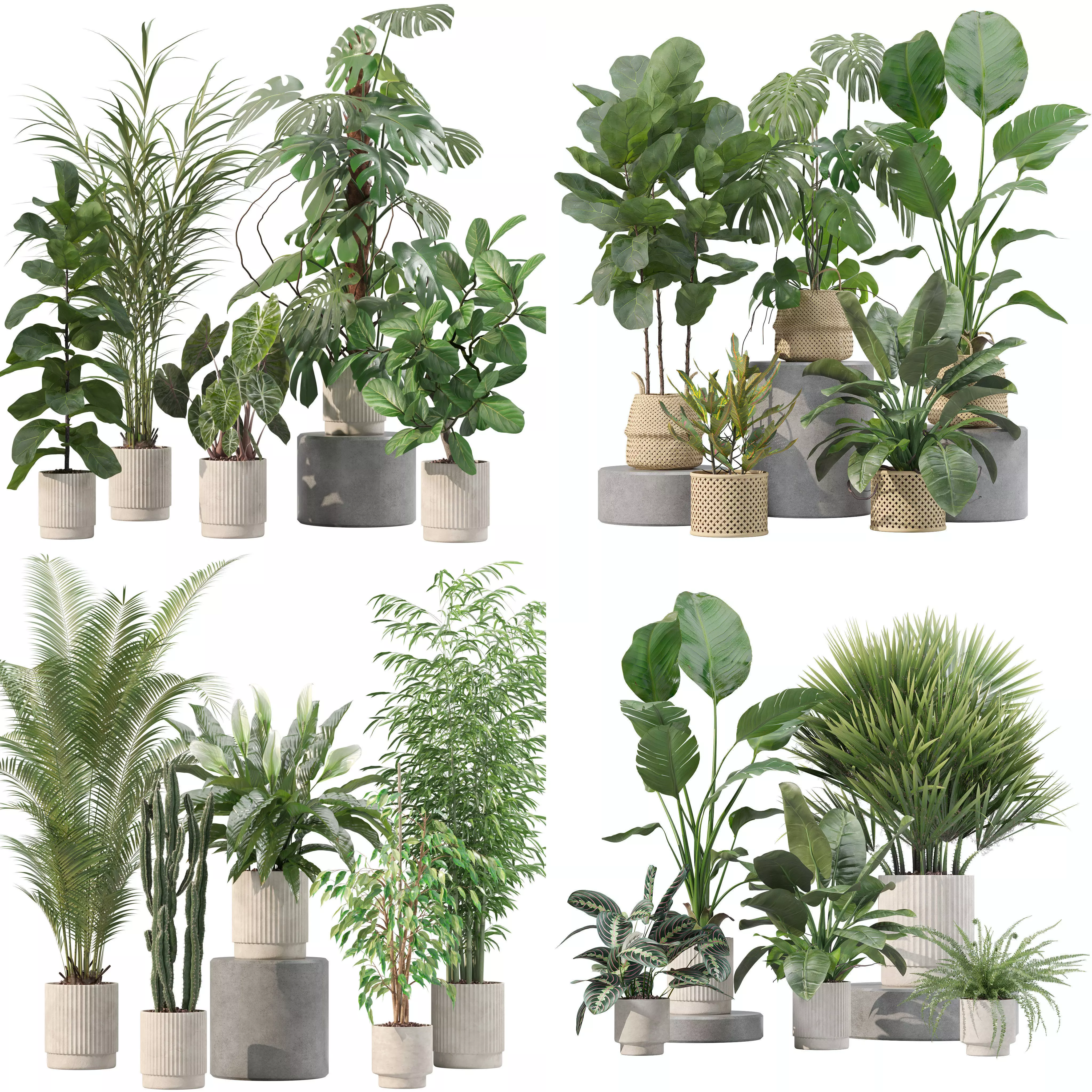 20 Photorealistic Flowers for Interiors - set 201 205 207 209 3D Model Collection_0