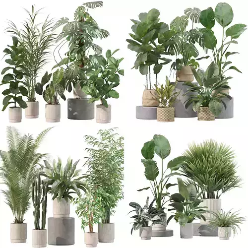 20 Photorealistic Flowers for Interiors - set 201 205 207 209 3D Model Collection