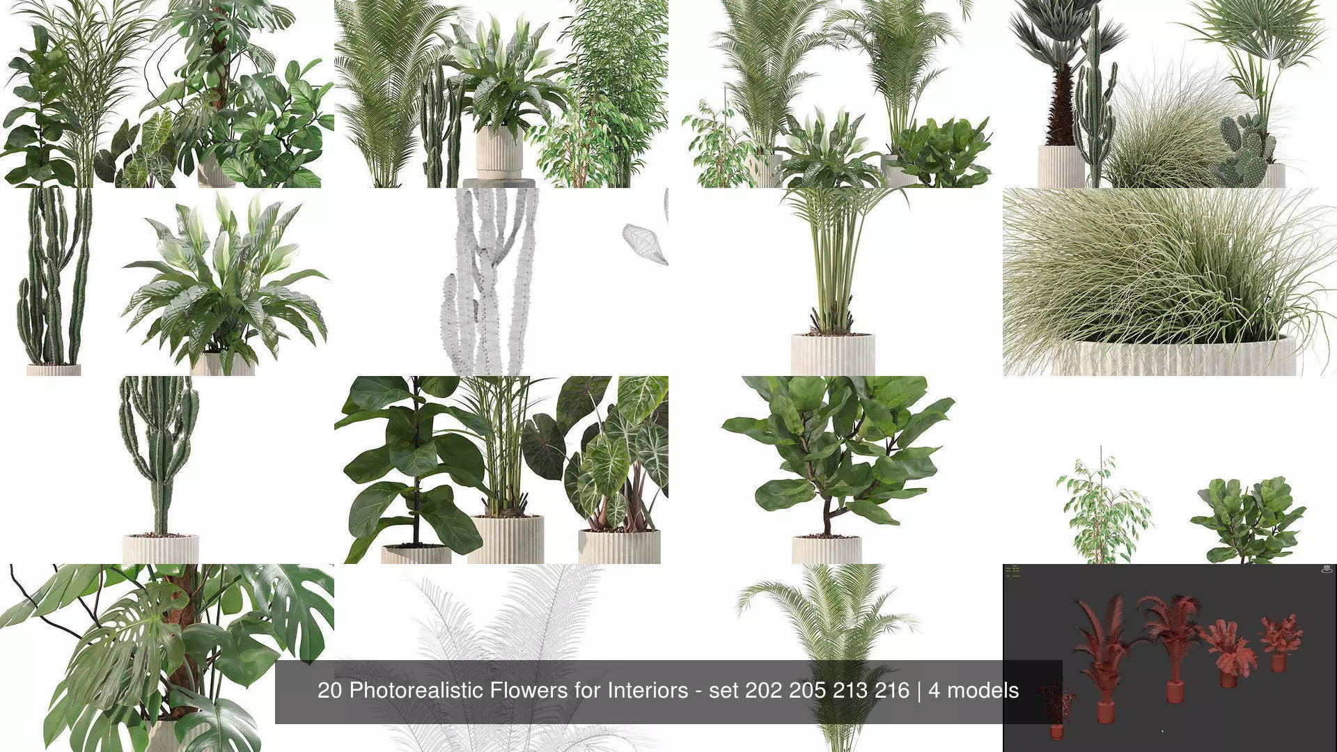 20 Photorealistic Flowers for Interiors - set 202 205 213 216 3D Model Collection_1