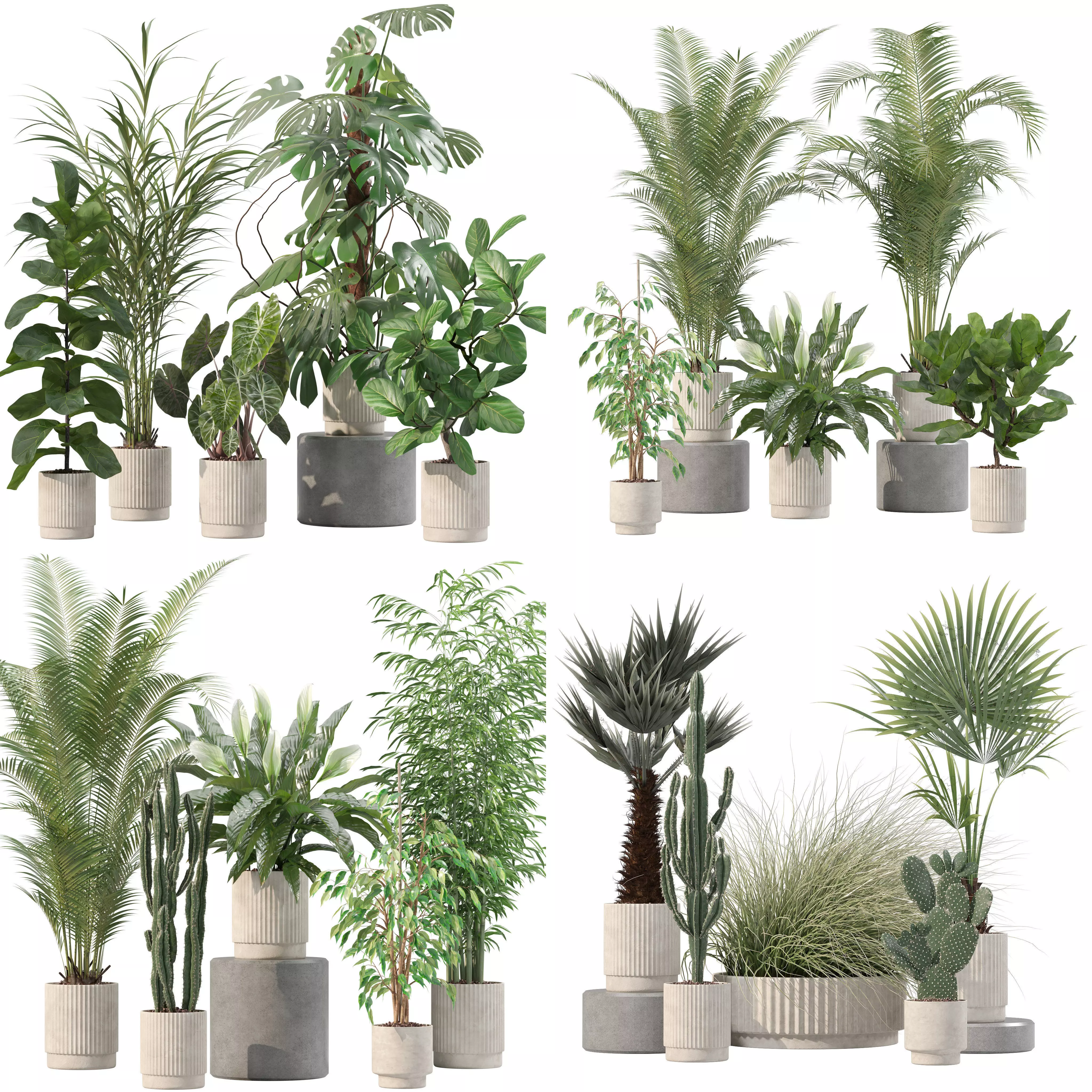 20 Photorealistic Flowers for Interiors - set 202 205 213 216 3D Model Collection_0