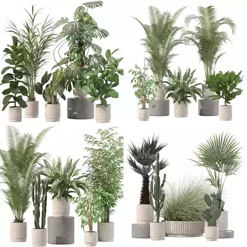 20 Photorealistic Flowers for Interiors - set 202 205 213 216 3D Model Collection