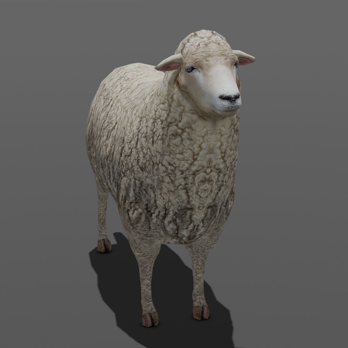 Animated Sheep 3D Model Low-poly 3D model_6