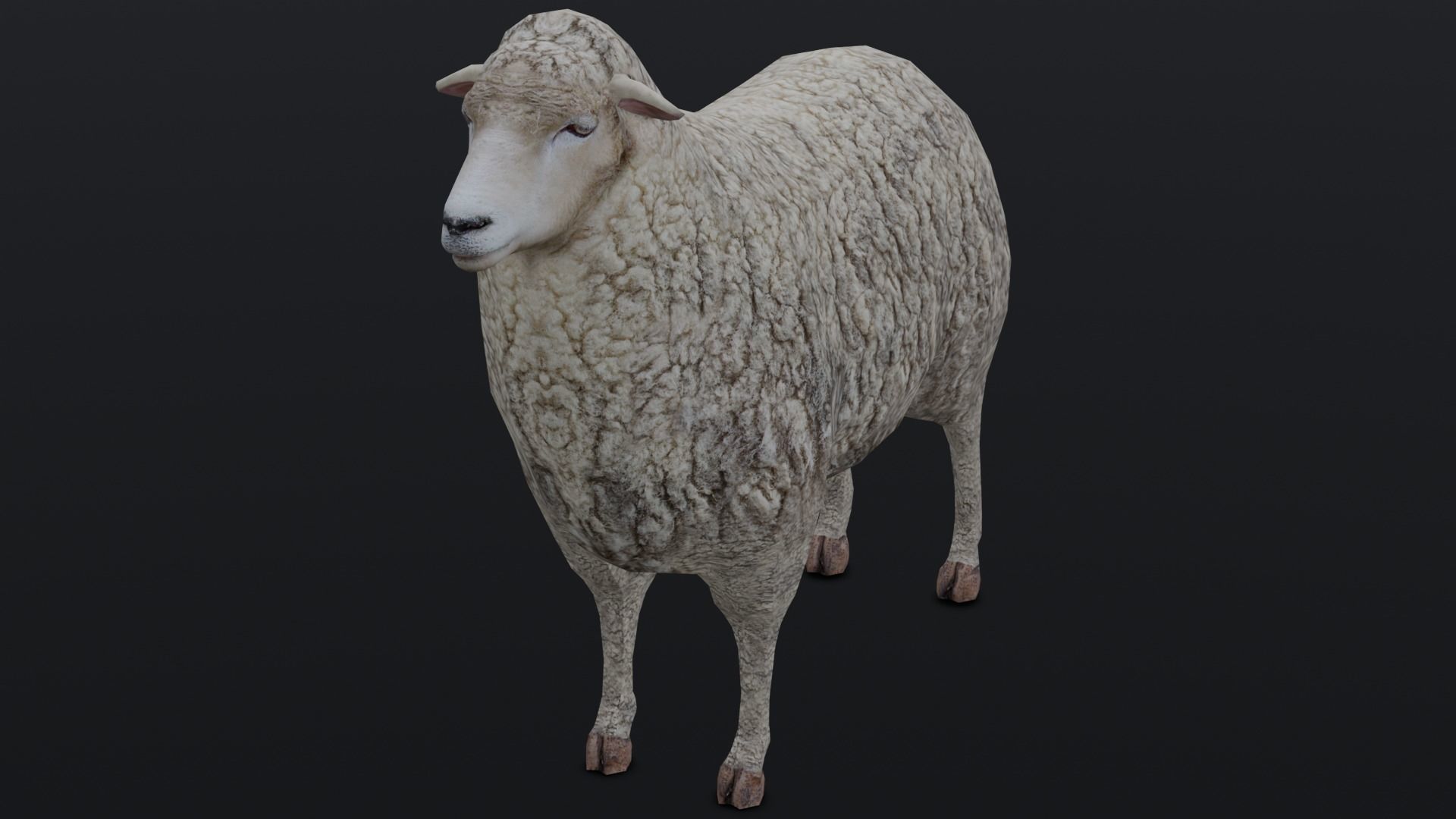 Animated Sheep 3D Model Low-poly 3D model_13