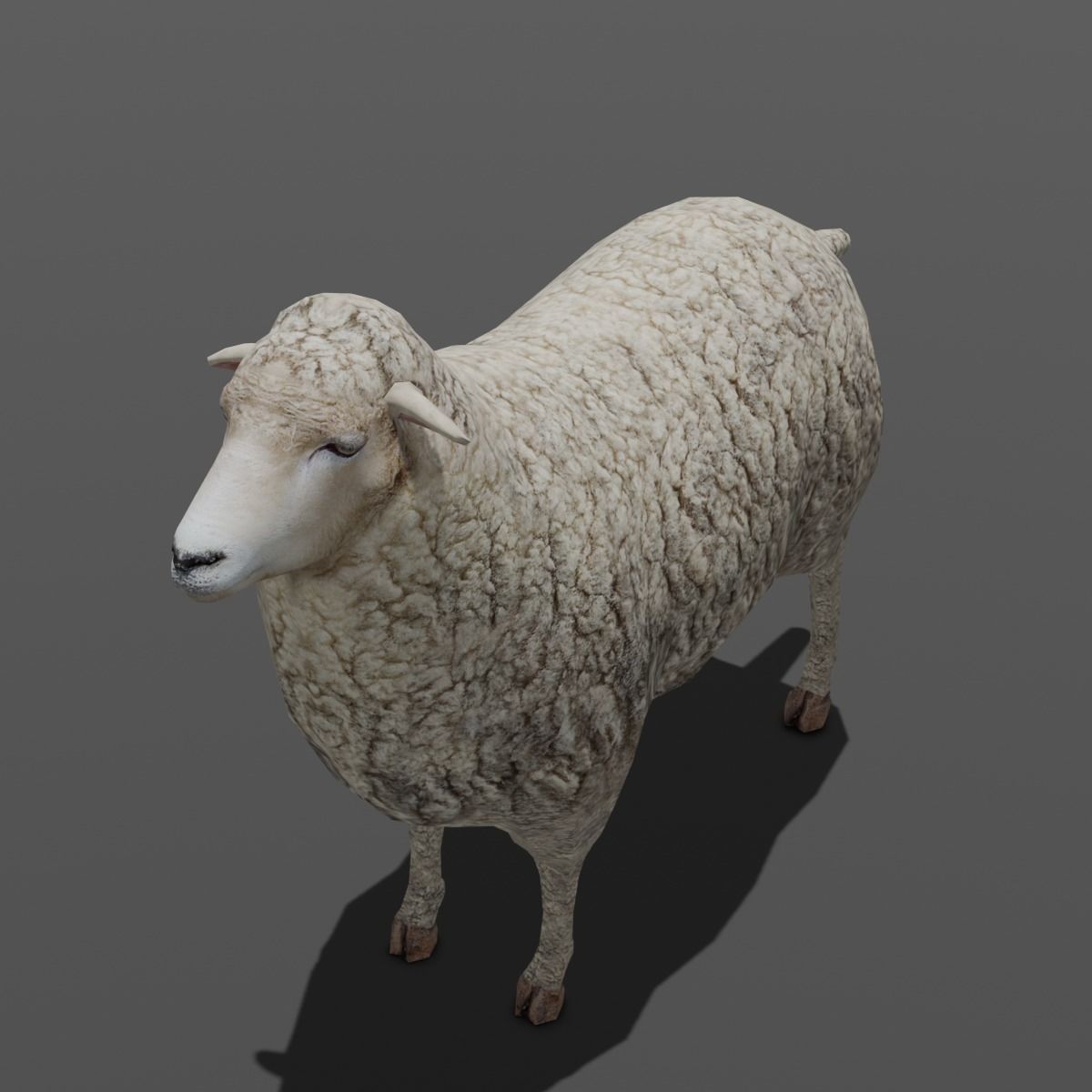 Animated Sheep 3D Model Low-poly 3D model_5