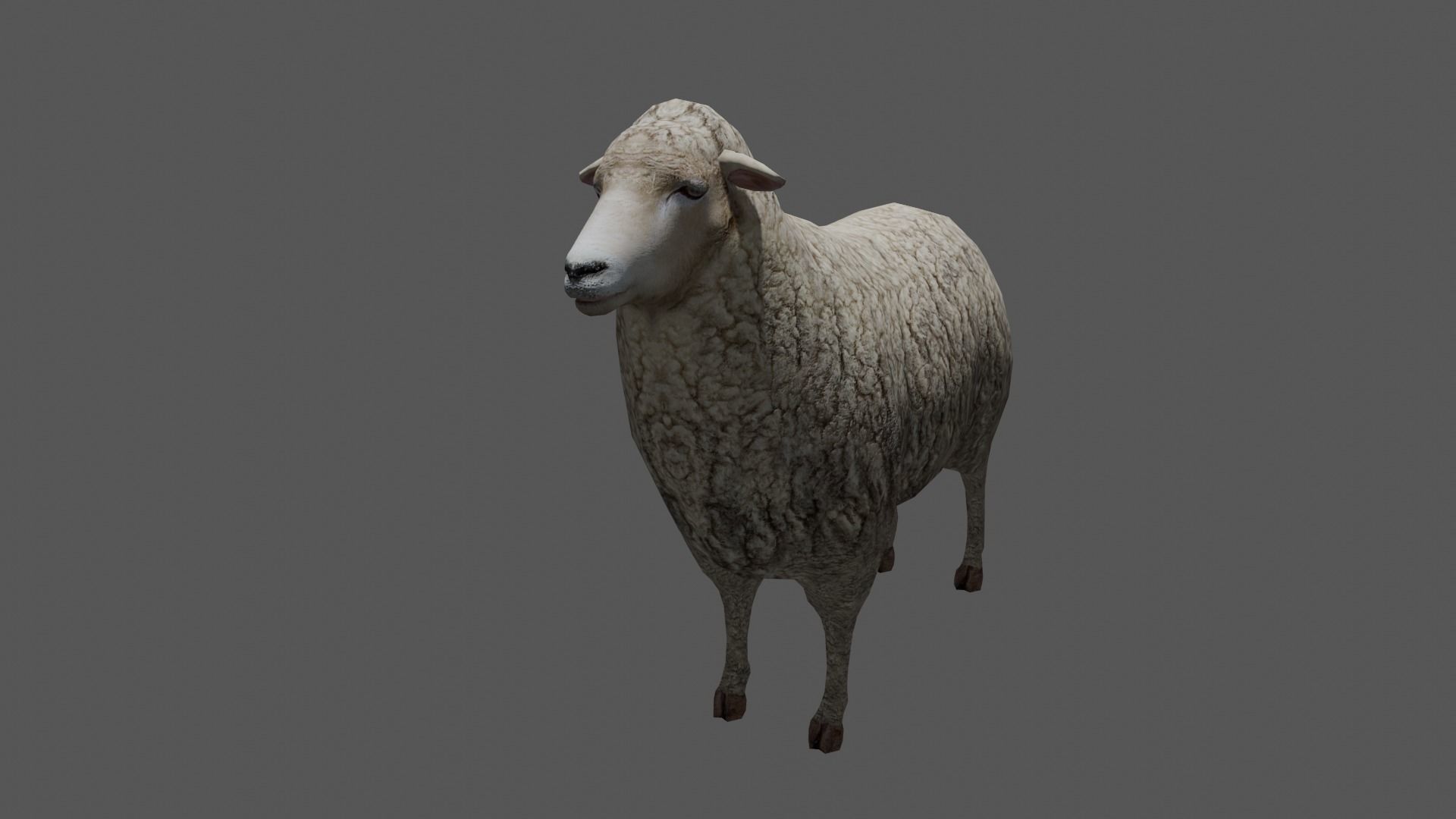 Animated Sheep 3D Model Low-poly 3D model_4