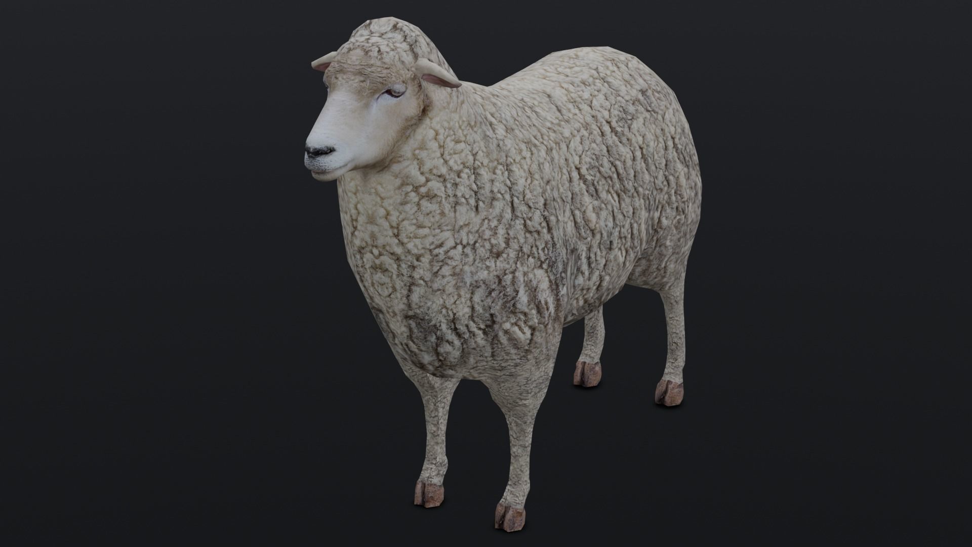 Animated Sheep 3D Model Low-poly 3D model_11