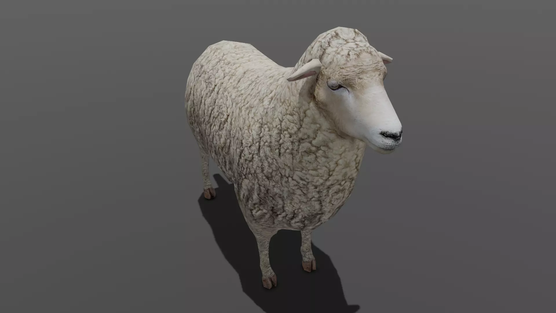 Animated Sheep 3D Model Low-poly 3D model_0