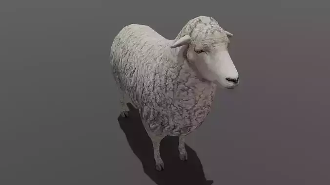 Animated Sheep 3D Model Low-poly 3D model Animated Sheep 3D Model Low-poly 3D model