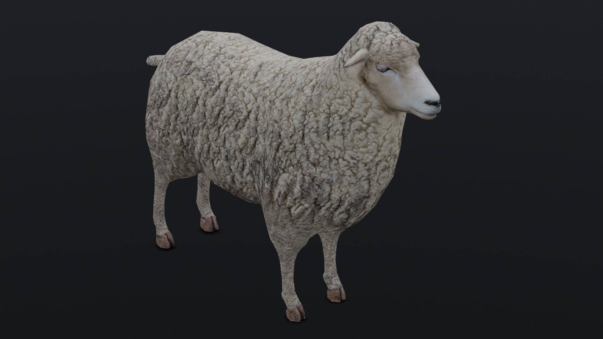 Animated Sheep 3D Model Low-poly 3D model_12