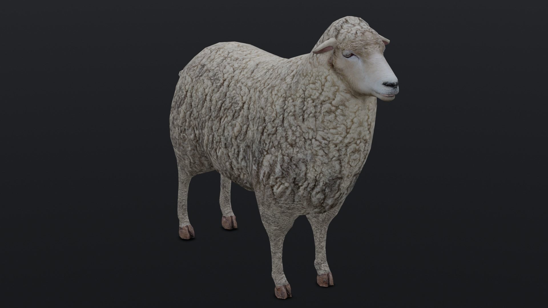 Animated Sheep 3D Model Low-poly 3D model_10