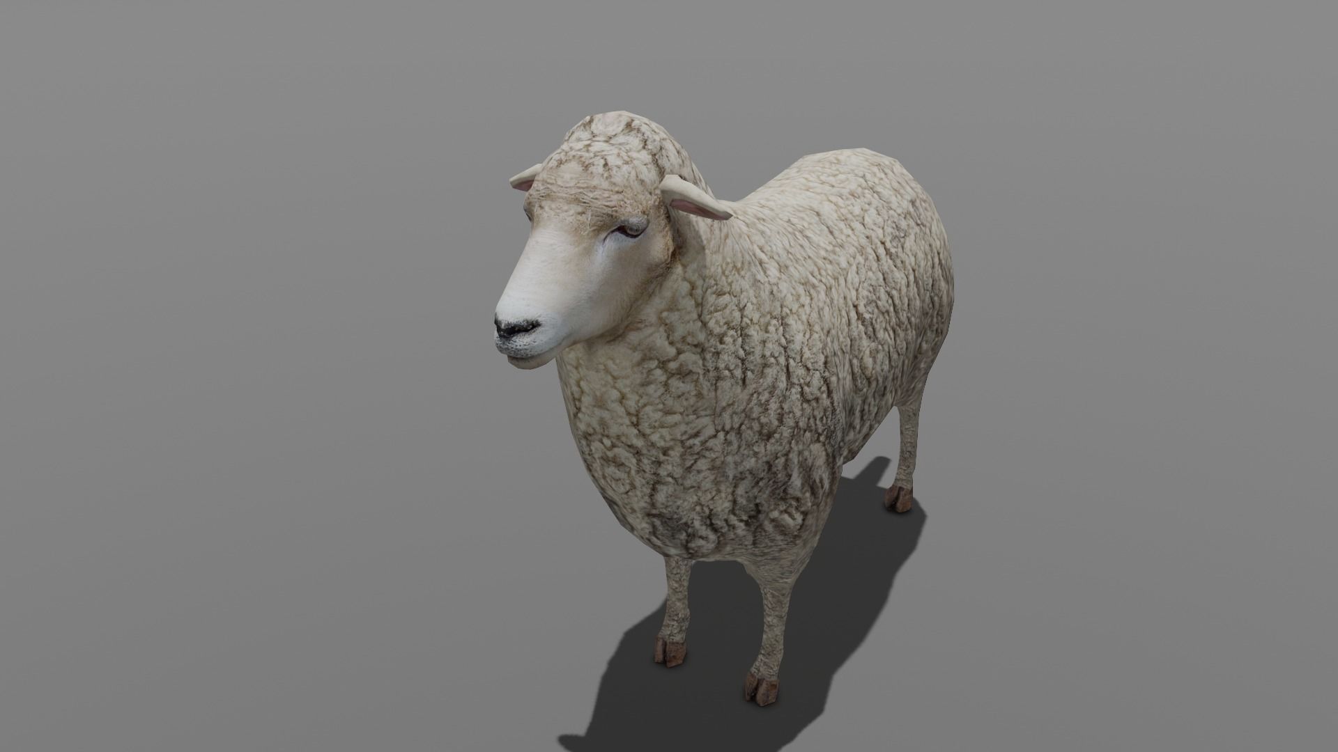 Animated Sheep 3D Model Low-poly 3D model_1