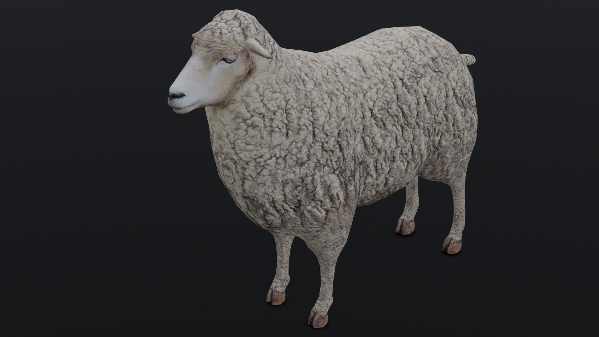 Animated Sheep 3D Model Low-poly 3D model_3