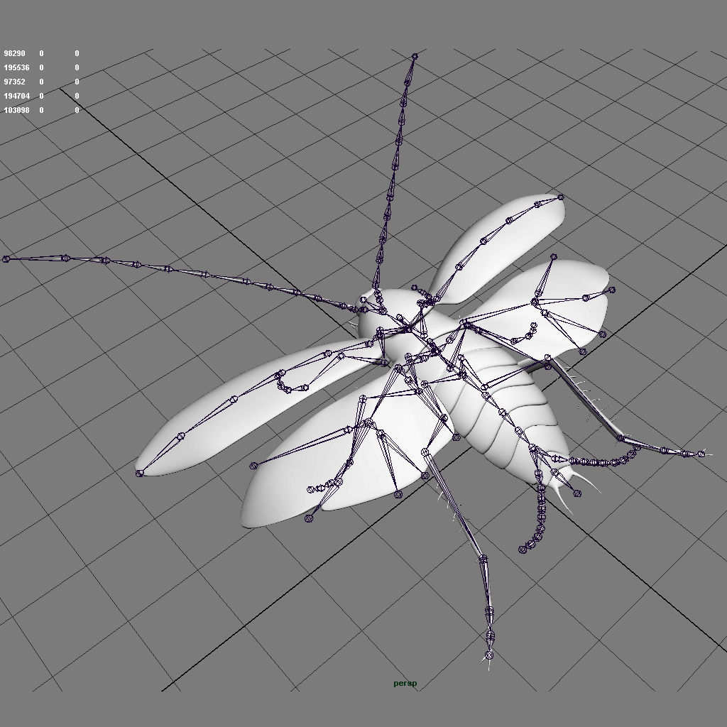 Cockroach 3D model_18