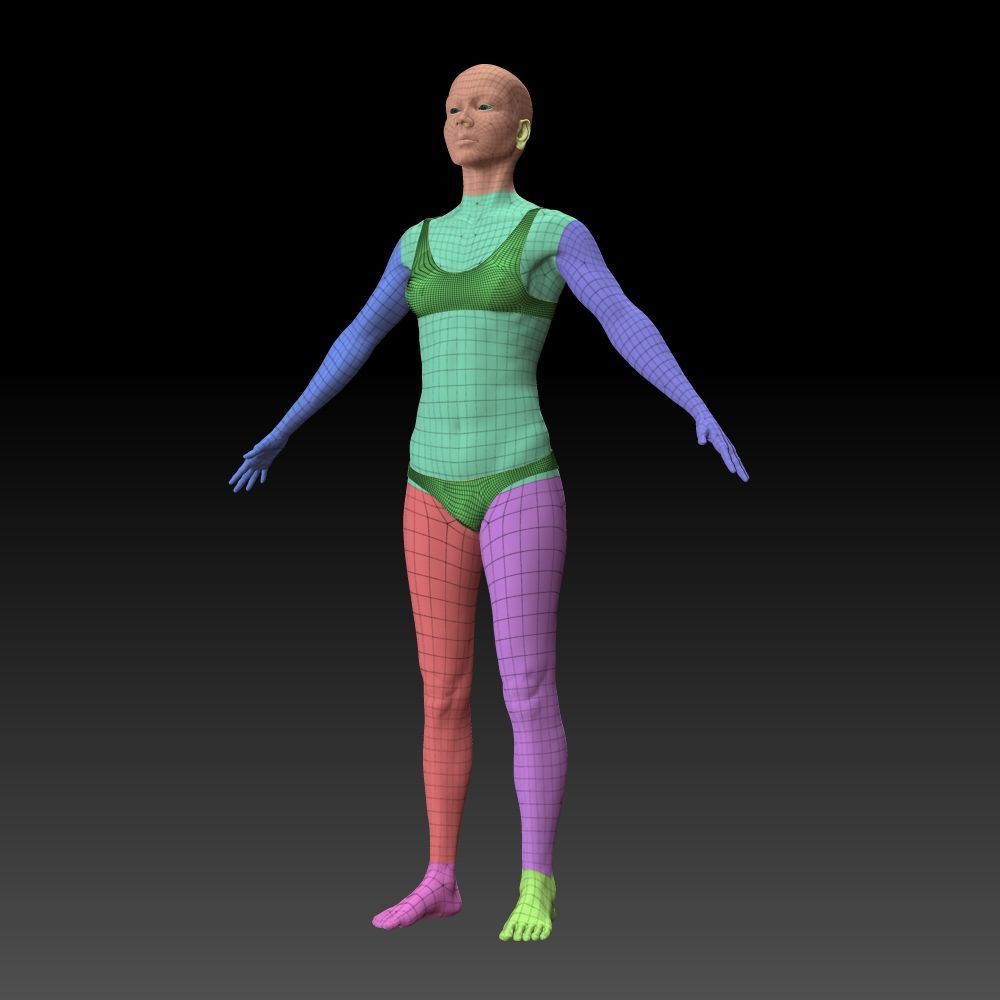 Female body 3D model_17
