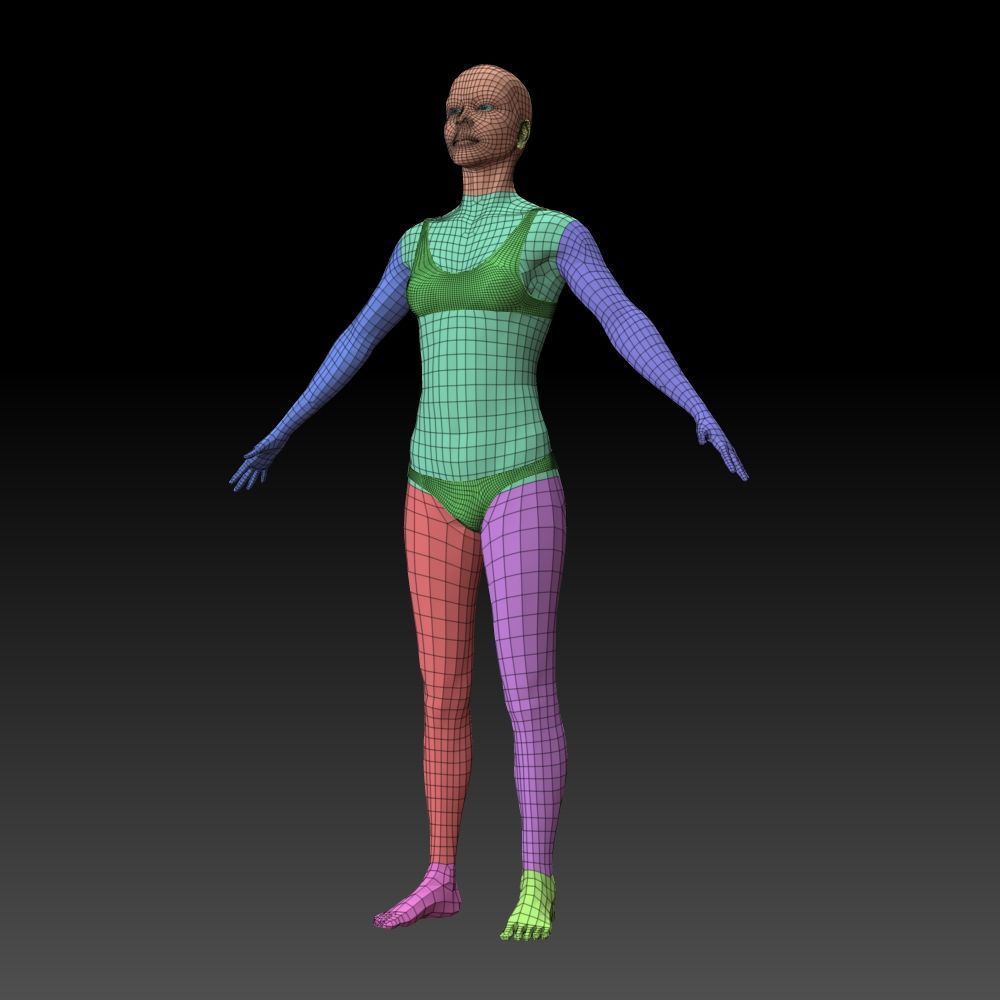 Female body 3D model_18