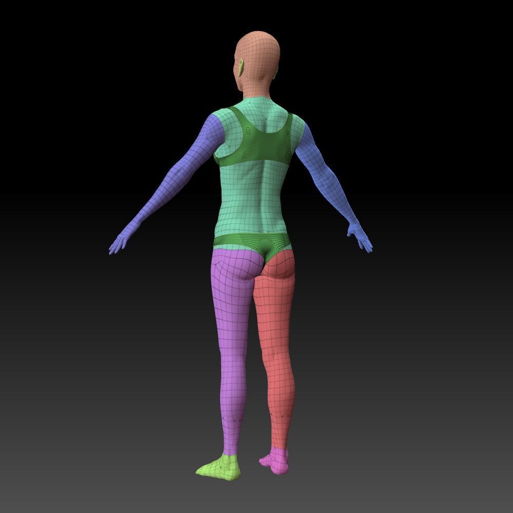 Female body 3D model_19