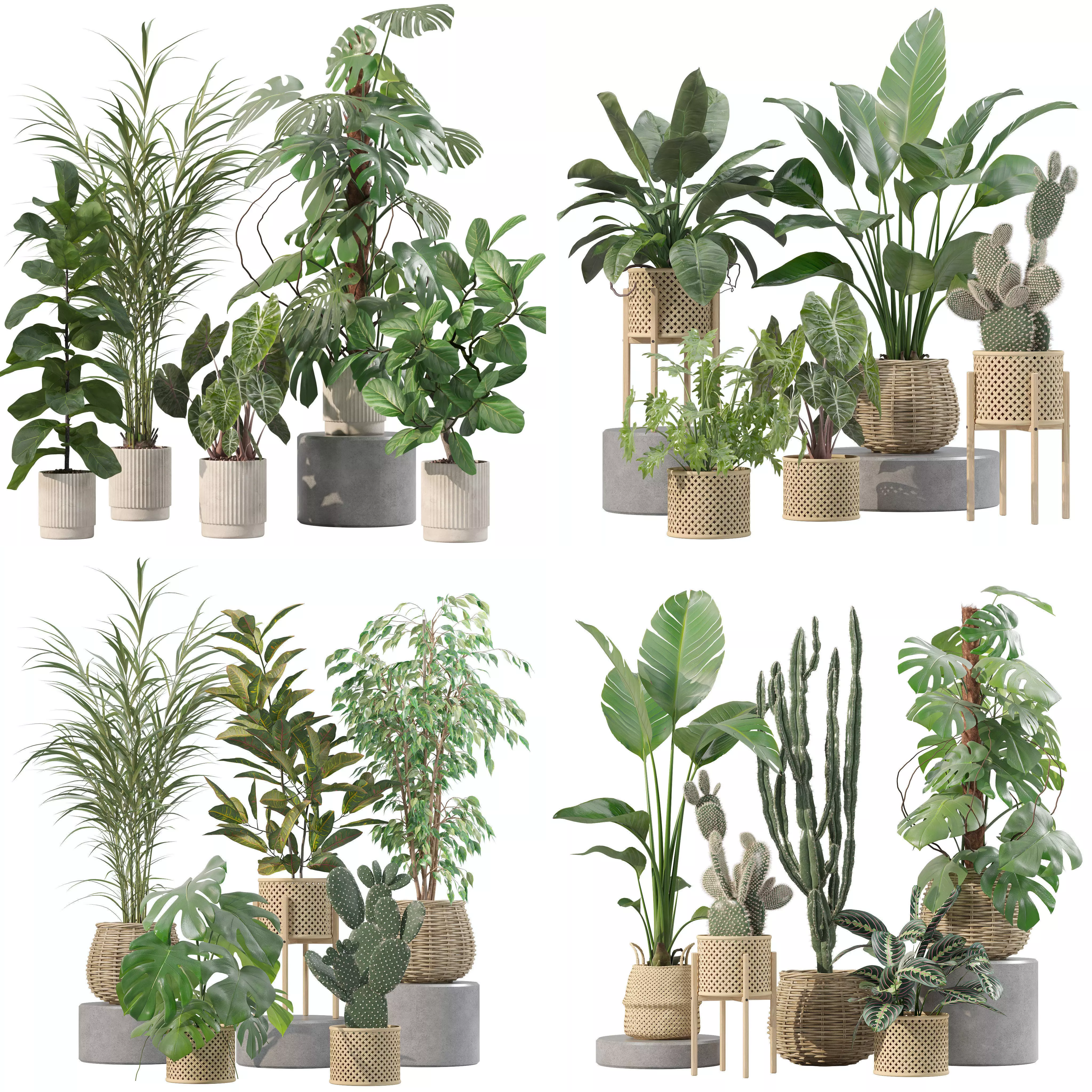 20 Photorealistic Flowers for Interiors - set 202 206 210 211 3D Model Collection_0