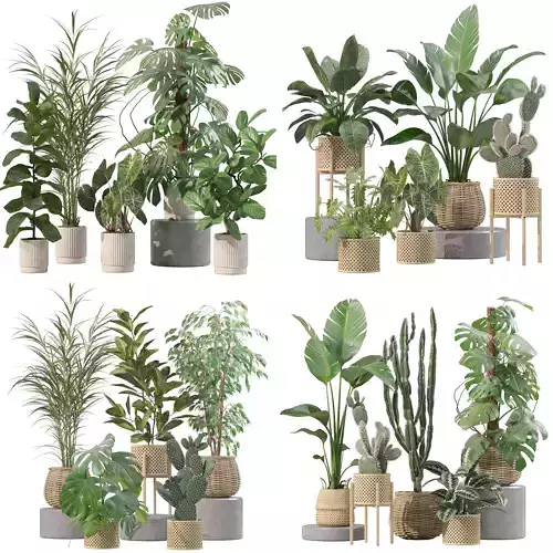 20 Photorealistic Flowers for Interiors - set 202 206 210 211 3D Model Collection