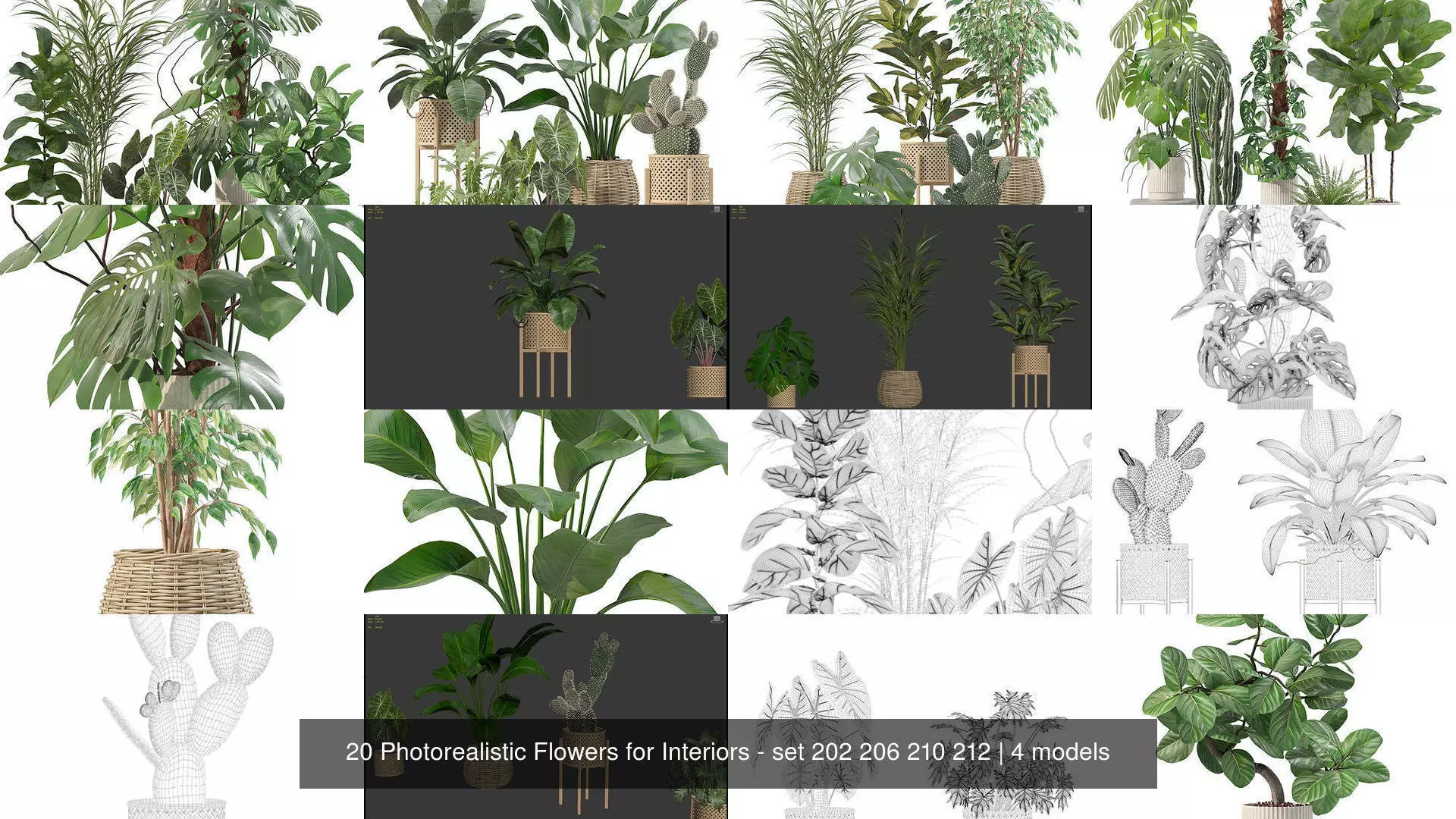 20 Photorealistic Flowers for Interiors - set 202 206 210 212 3D Model Collection_1