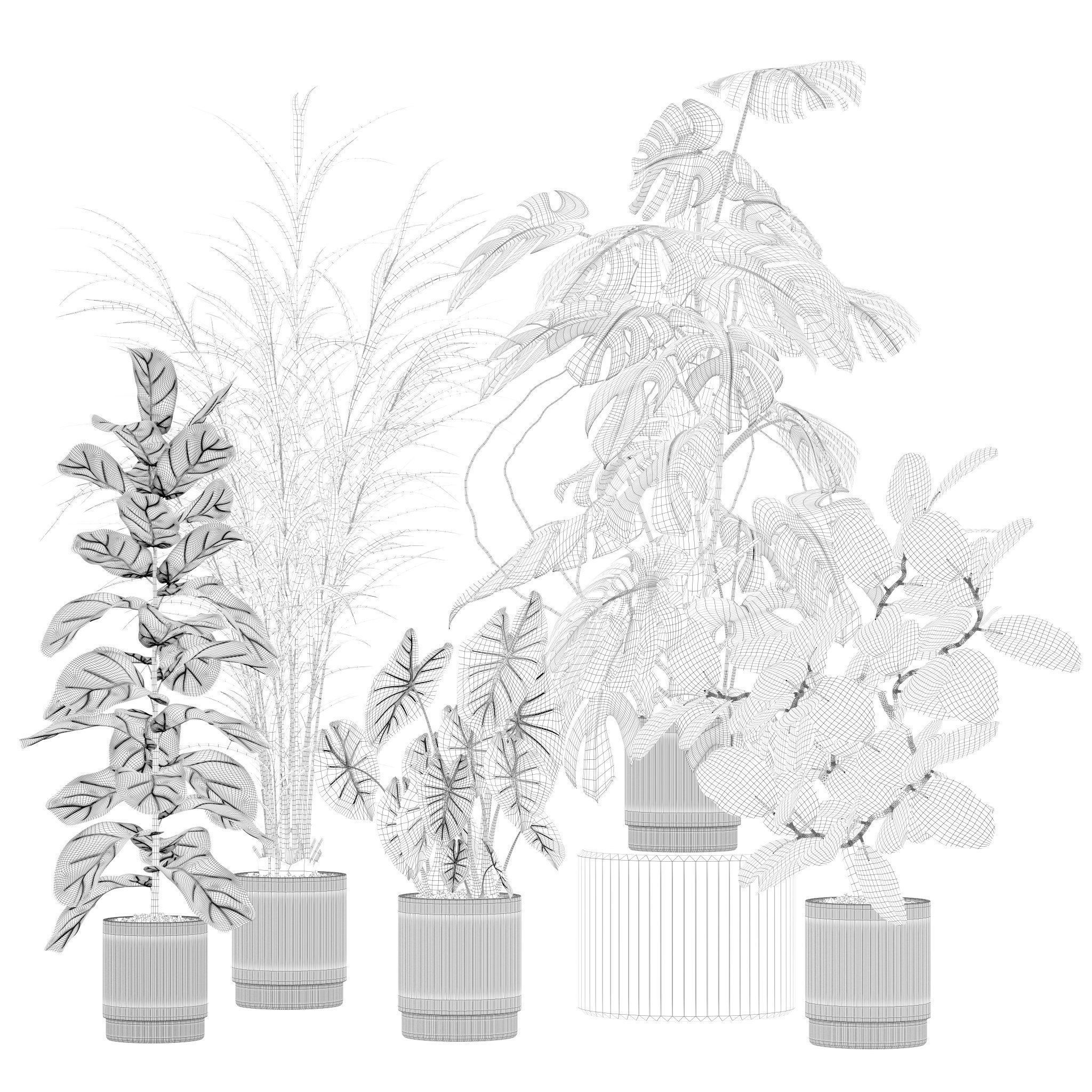 20 Photorealistic Flowers for Interiors - set 202 206 210 212 3D Model Collection_10