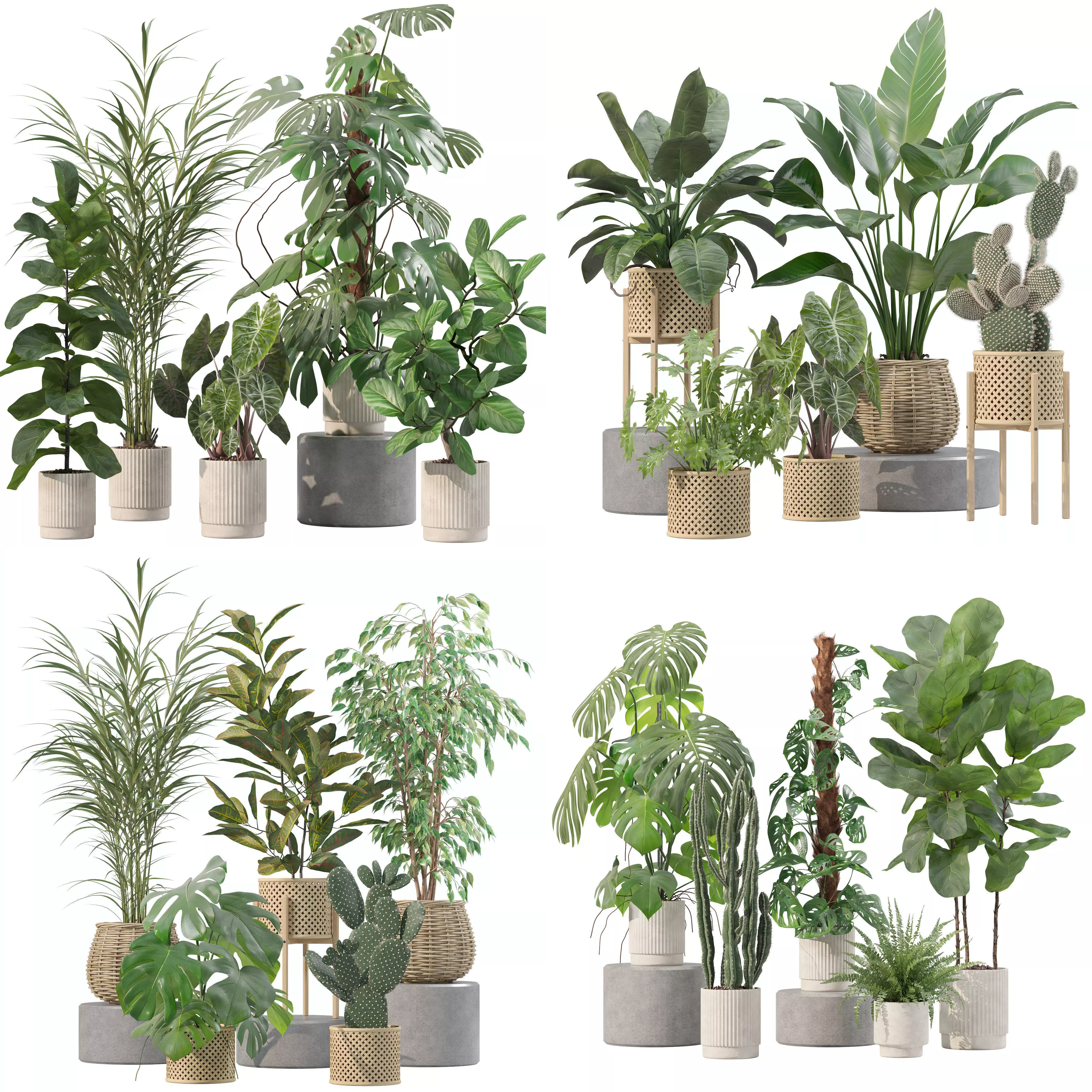 20 Photorealistic Flowers for Interiors - set 202 206 210 212 3D Model Collection_0