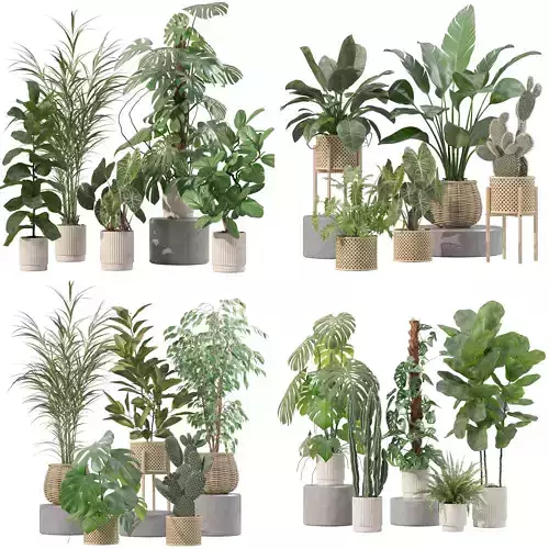 20 Photorealistic Flowers for Interiors - set 202 206 210 212 3D Model Collection