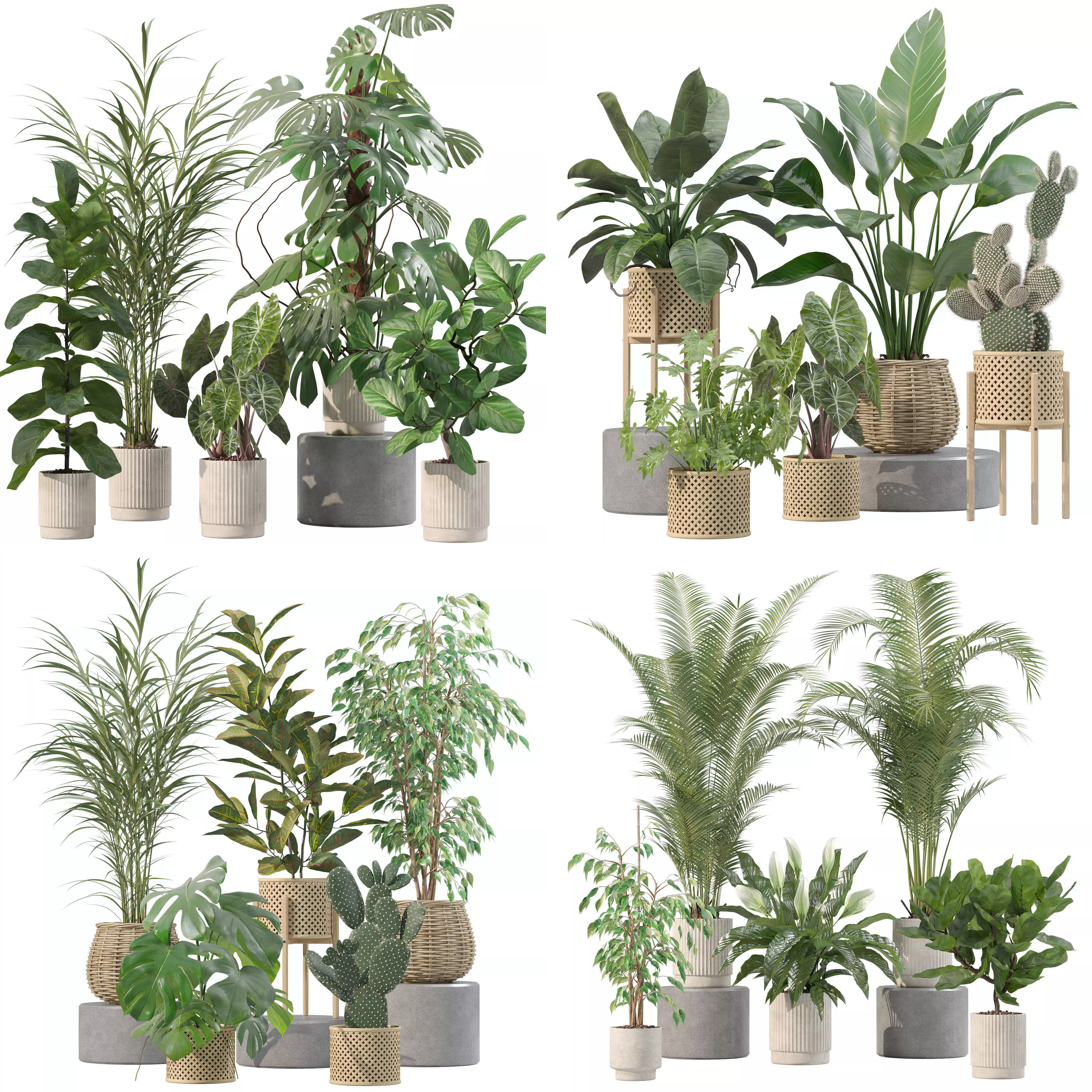 20 Photorealistic Flowers for Interiors - set 202 206 210 213 3D Model Collection_0