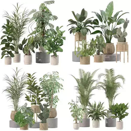 20 Photorealistic Flowers for Interiors - set 202 206 210 213 3D Model Collection