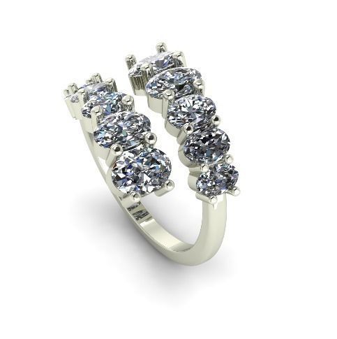 ring 2600 3D print model_2