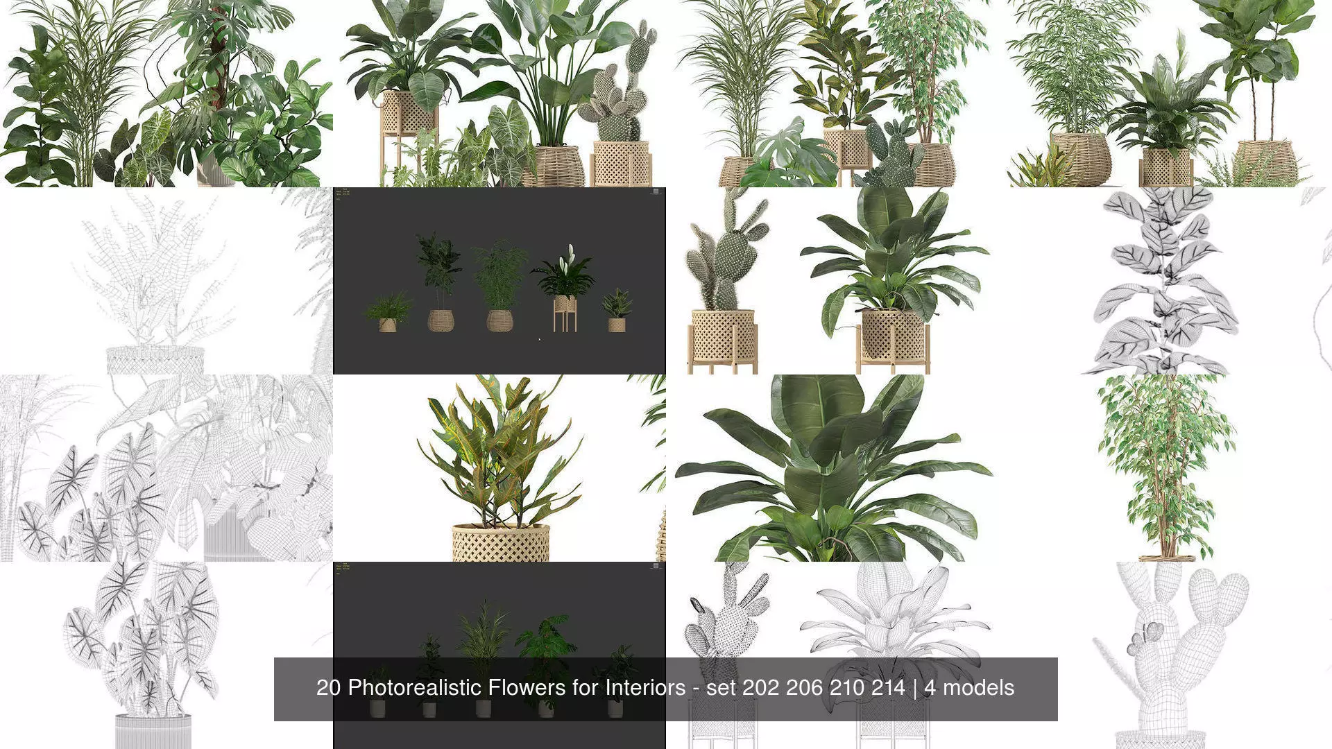 20 Photorealistic Flowers for Interiors - set 202 206 210 214 3D Model Collection_1