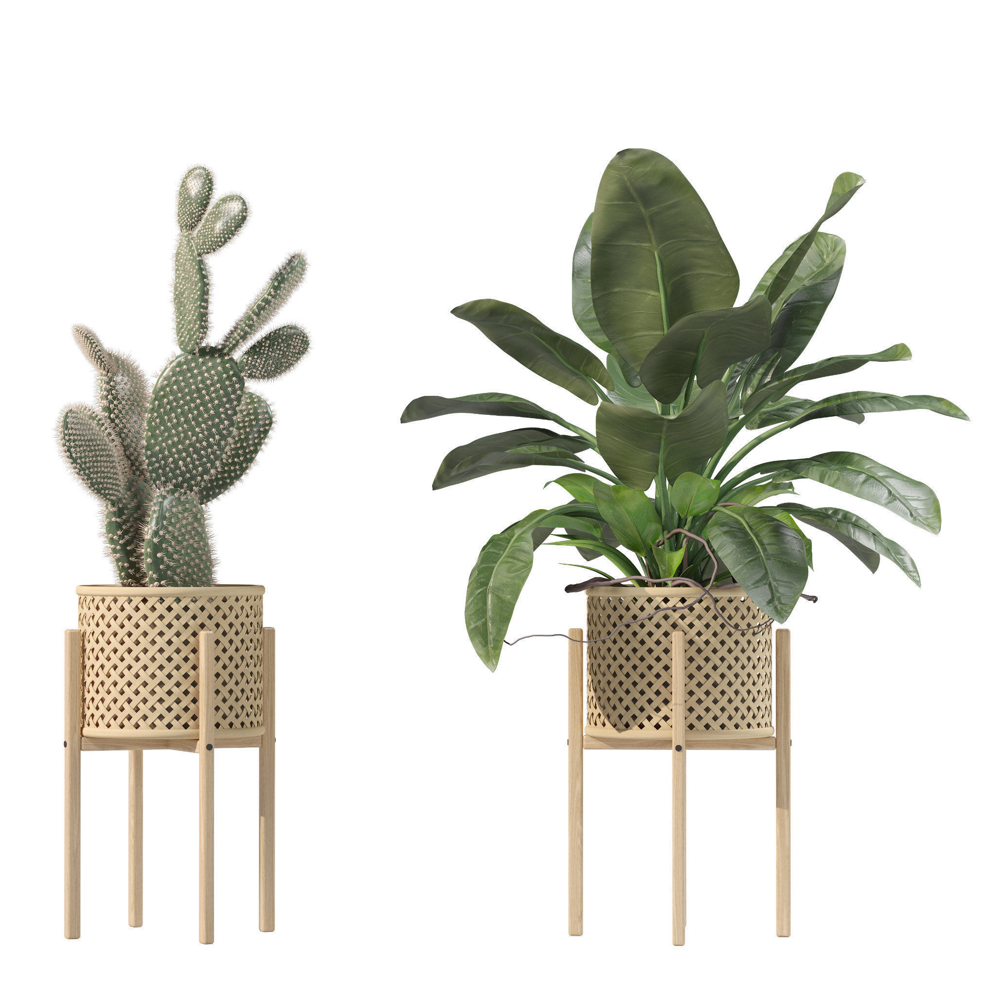 20 Photorealistic Flowers for Interiors - set 202 206 210 214 3D Model Collection_22