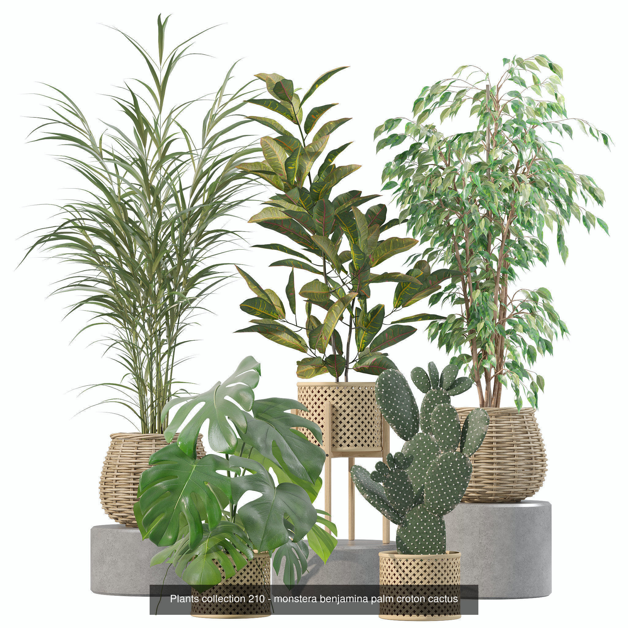 20 Photorealistic Flowers for Interiors - set 202 206 210 214 3D Model Collection_8