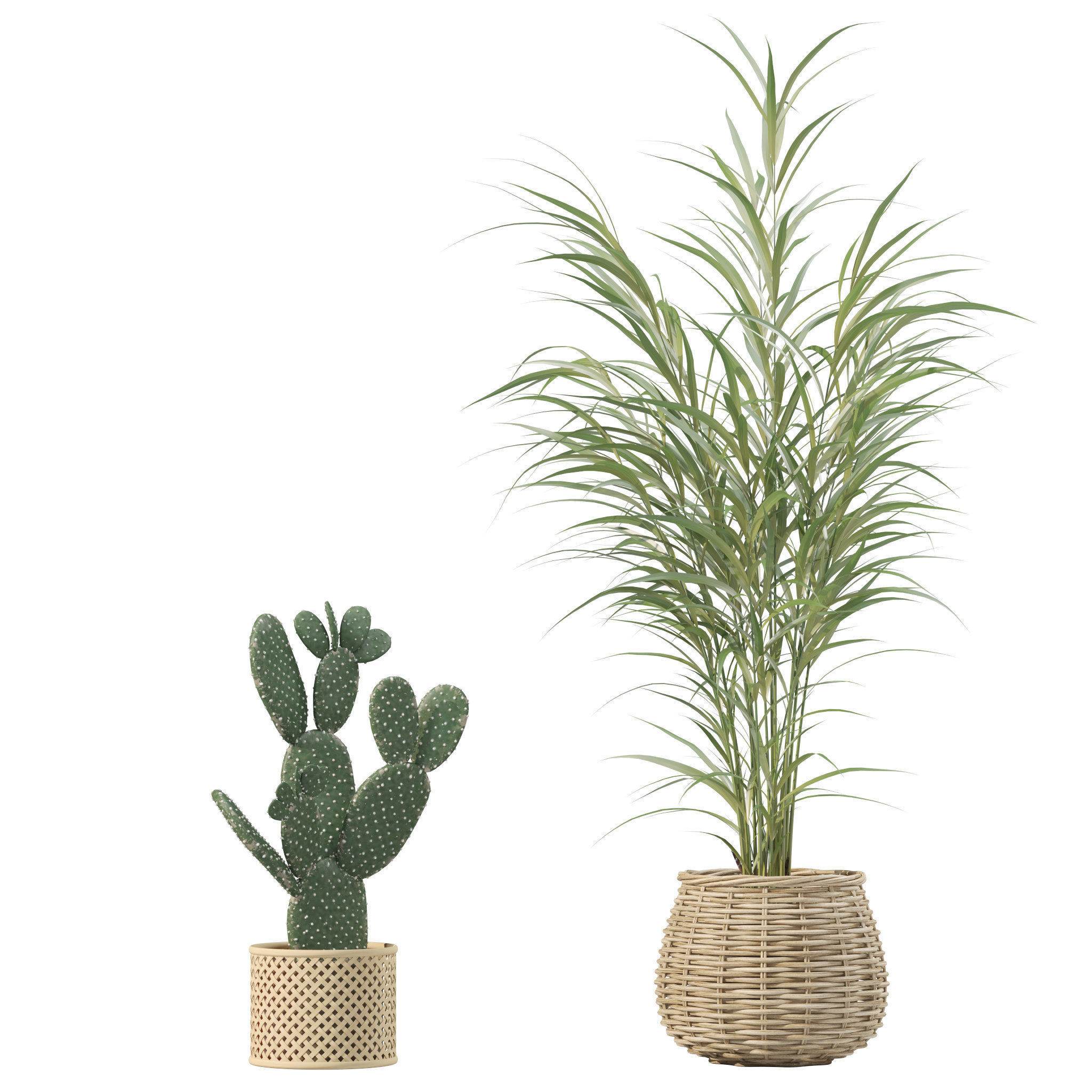 20 Photorealistic Flowers for Interiors - set 202 206 210 214 3D Model Collection_26