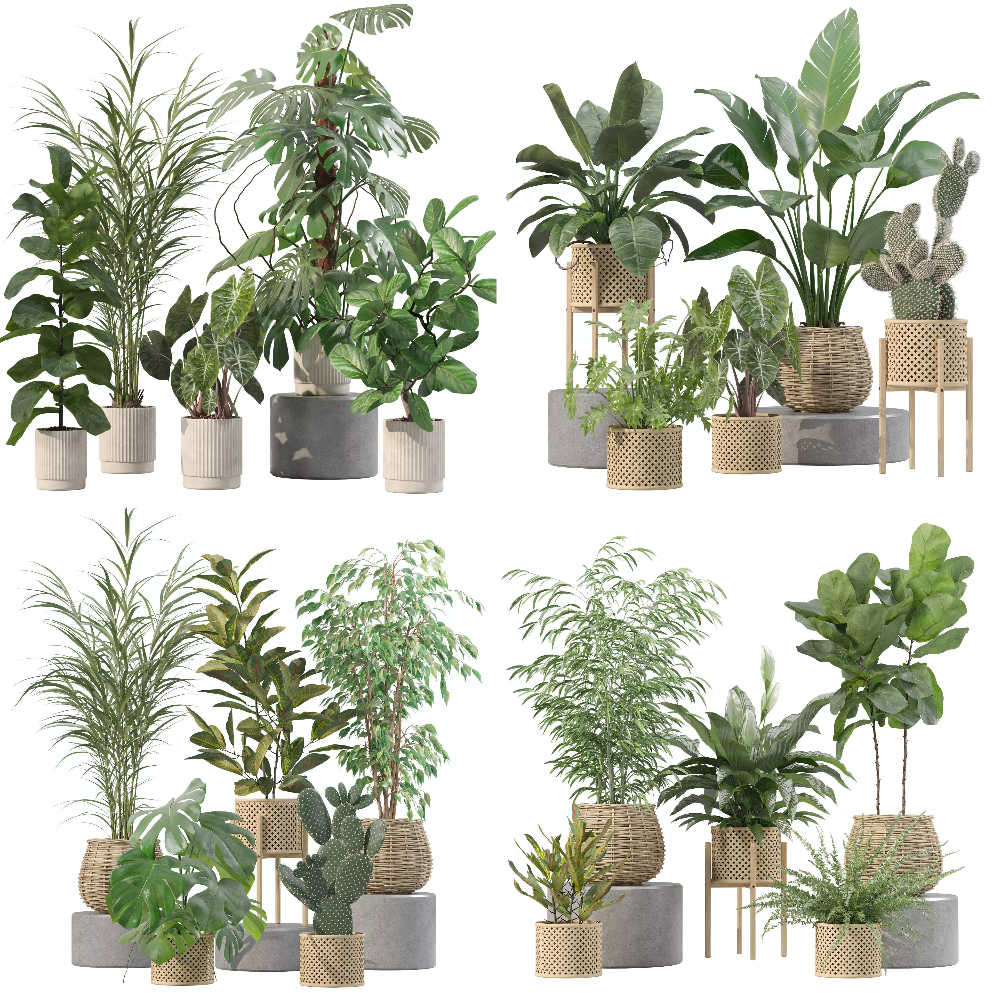 20 Photorealistic Flowers for Interiors - set 202 206 210 214 3D Model Collection_0