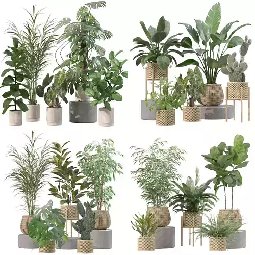 20 Photorealistic Flowers for Interiors - set 202 206 210 214 3D Model Collection