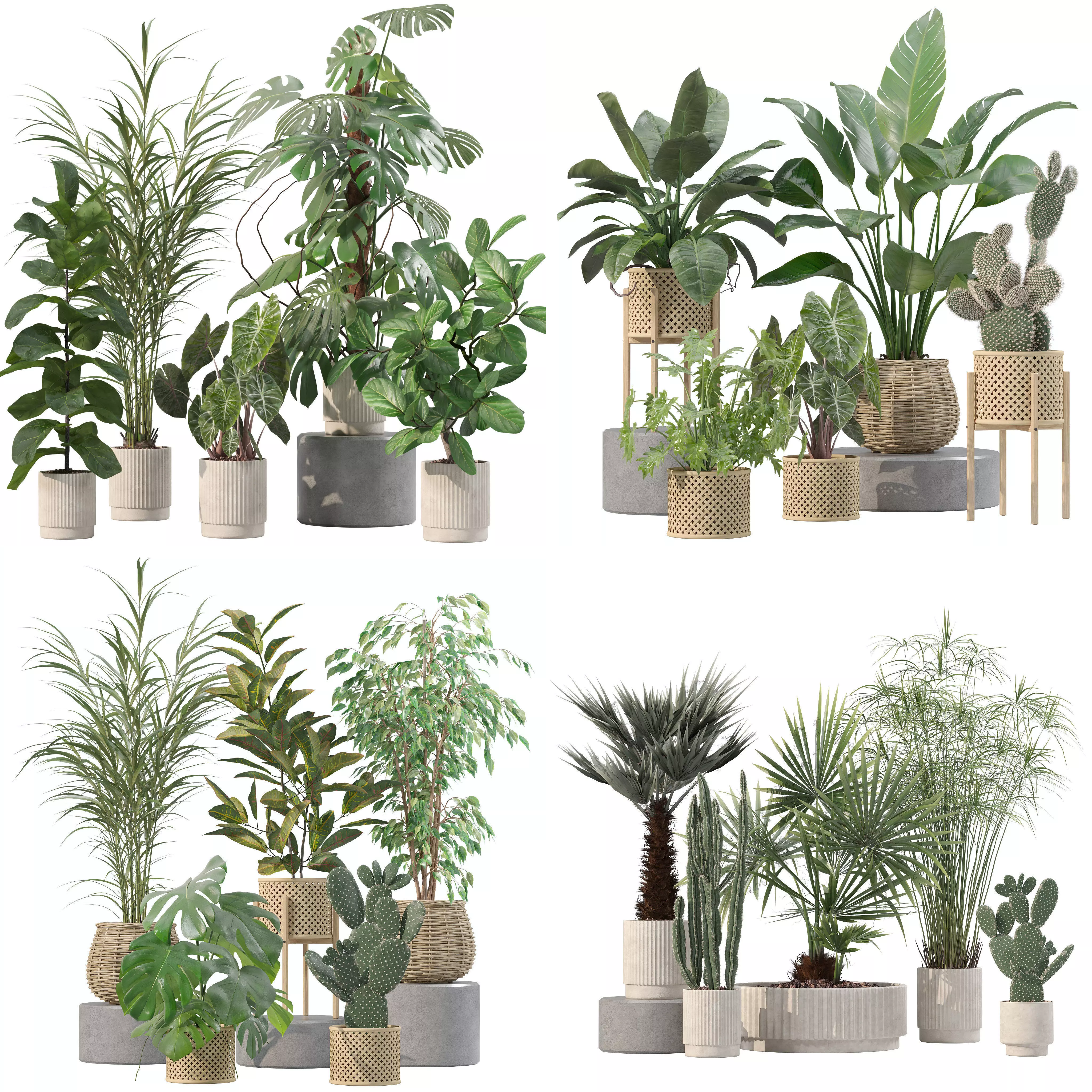 20 Photorealistic Flowers for Interiors - set 202 206 210 218 3D Model Collection_0