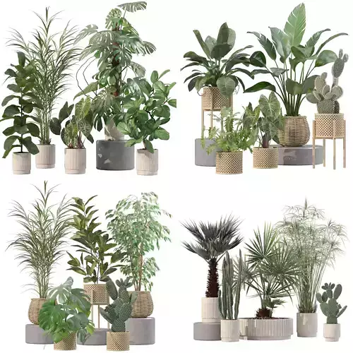20 Photorealistic Flowers for Interiors - set 202 206 210 218 3D Model Collection