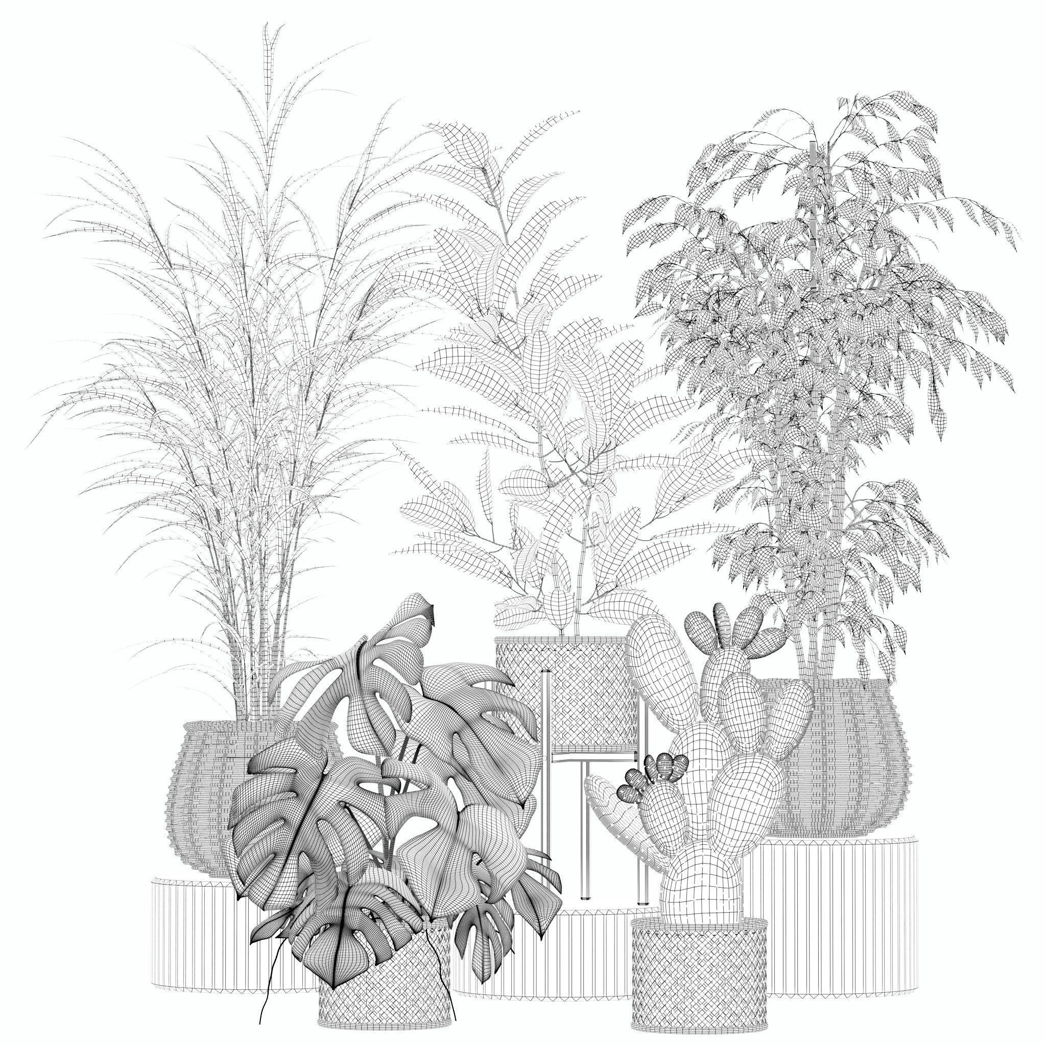 20 Photorealistic Flowers for Interiors - set 202 206 210 218 3D Model Collection_12