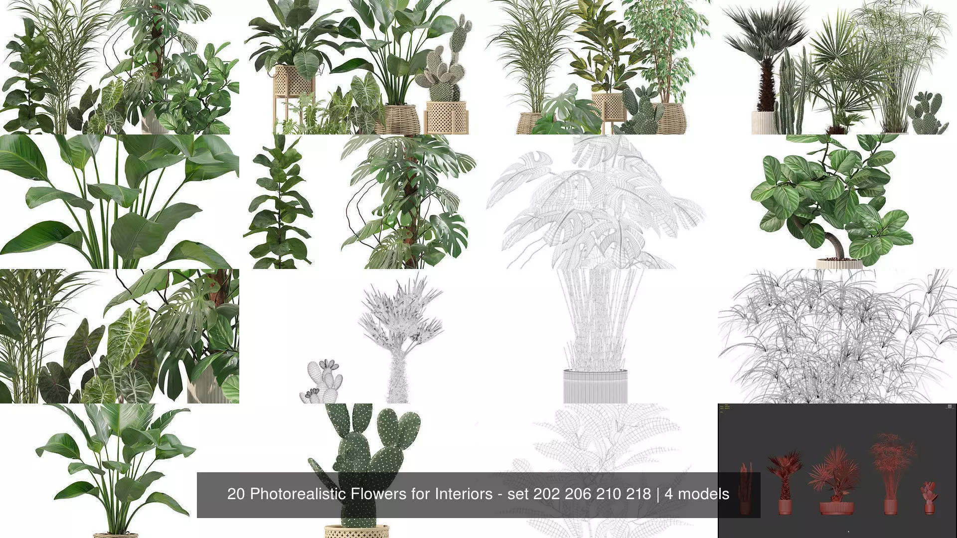 20 Photorealistic Flowers for Interiors - set 202 206 210 218 3D Model Collection_1