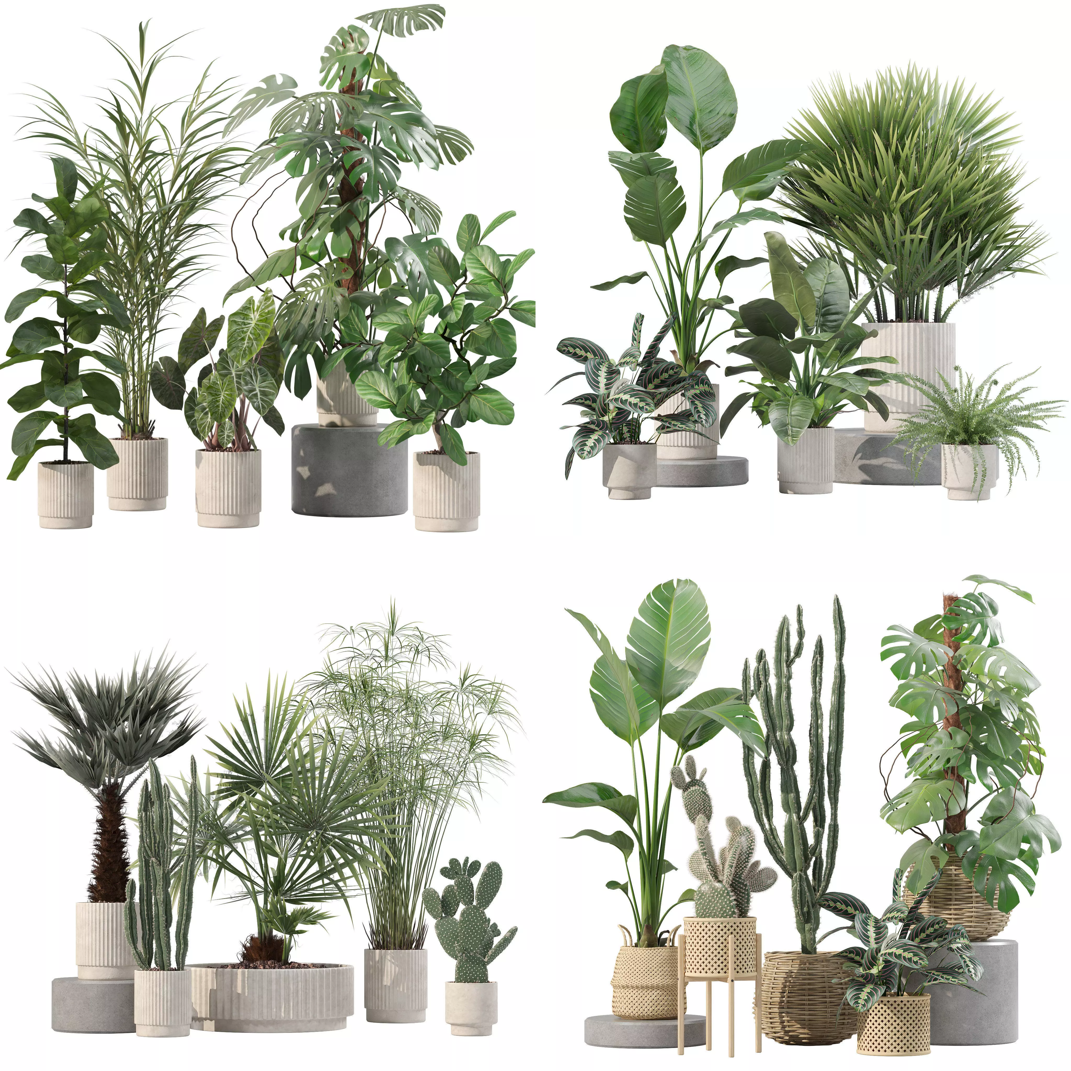 20 Photorealistic Flowers for Interiors - set 202 207 211 218 3D Model Collection_0