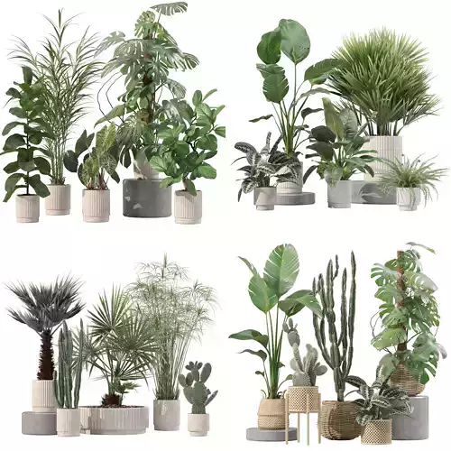 20 Photorealistic Flowers for Interiors - set 202 207 211 218 3D Model Collection