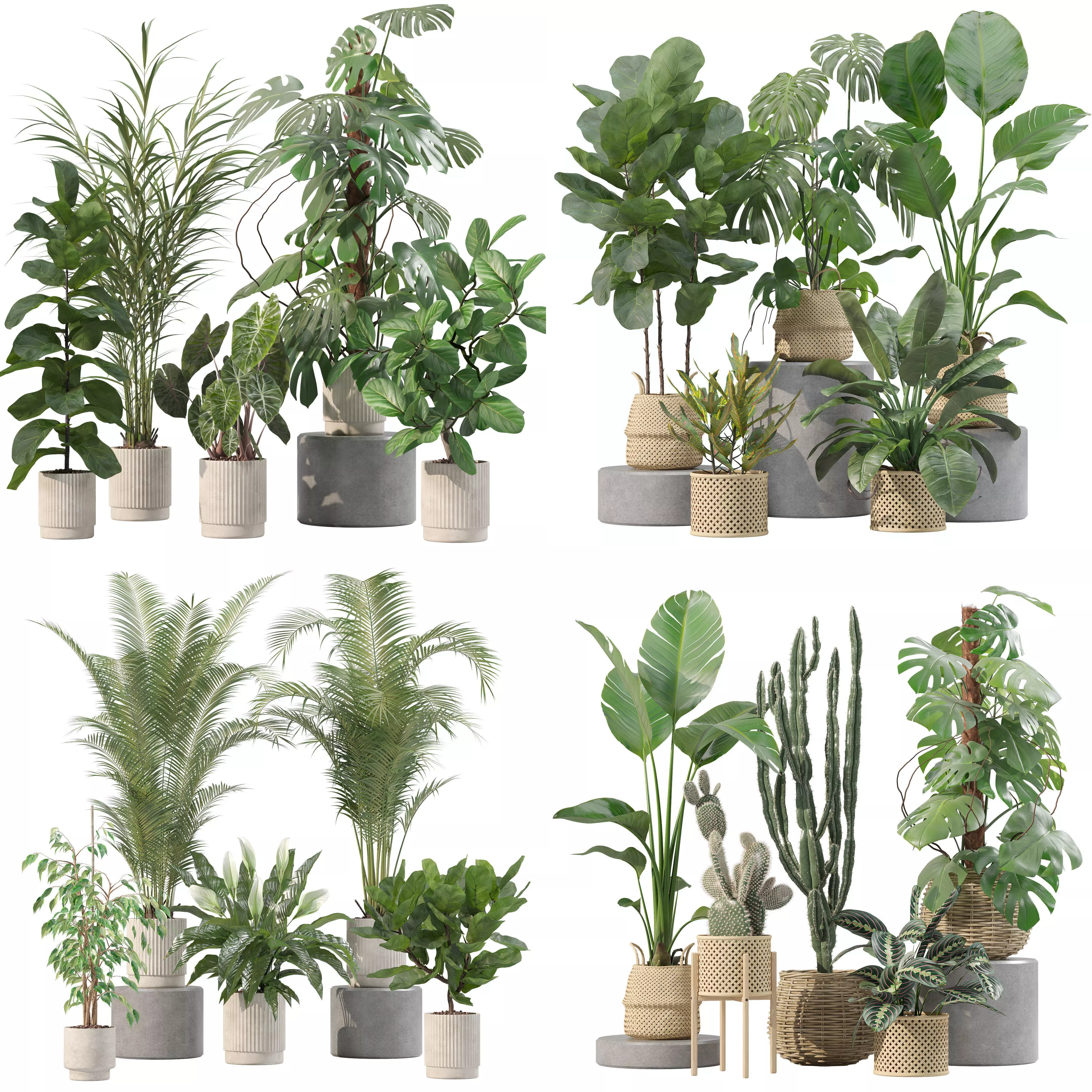 20 Photorealistic Flowers for Interiors - set 202 209 211 213 3D Model Collection_0